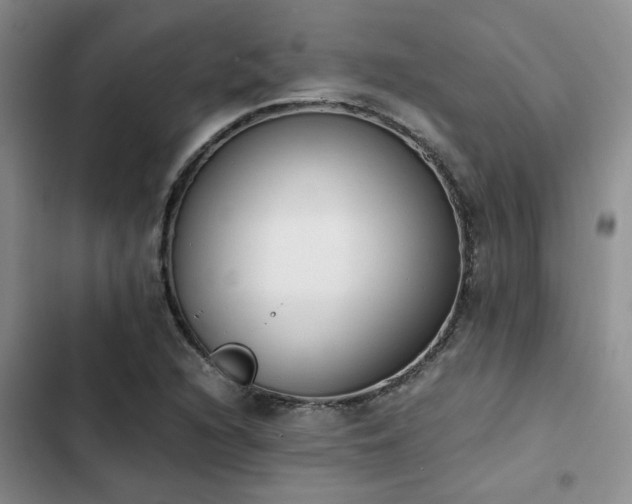 X0000102861216200808181433