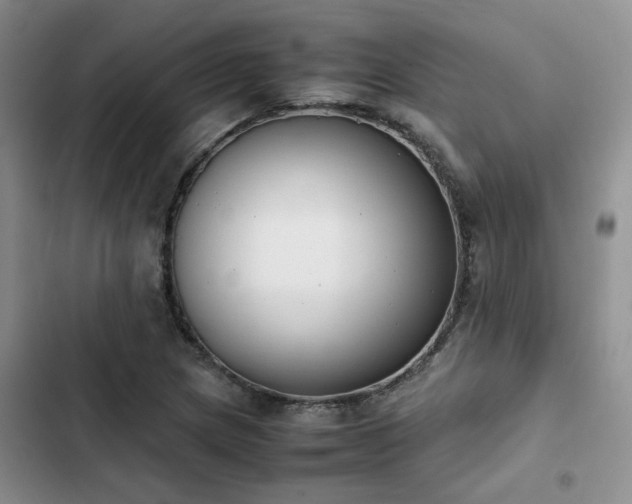 X0000102861217200808181433