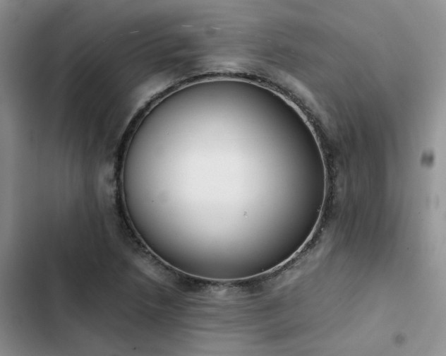 X0000102861218200808181433