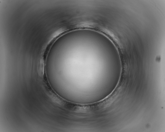 X0000102861219200808181433