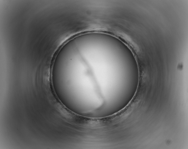 X0000102861220200808181433