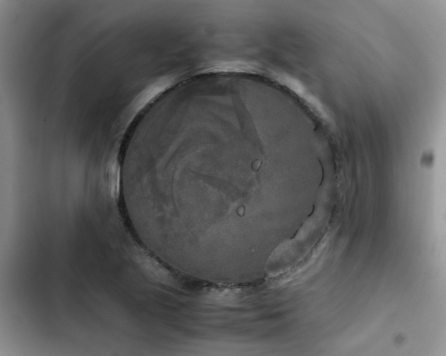 X0000102861221200808181433