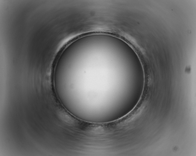 X0000102861222200808181433