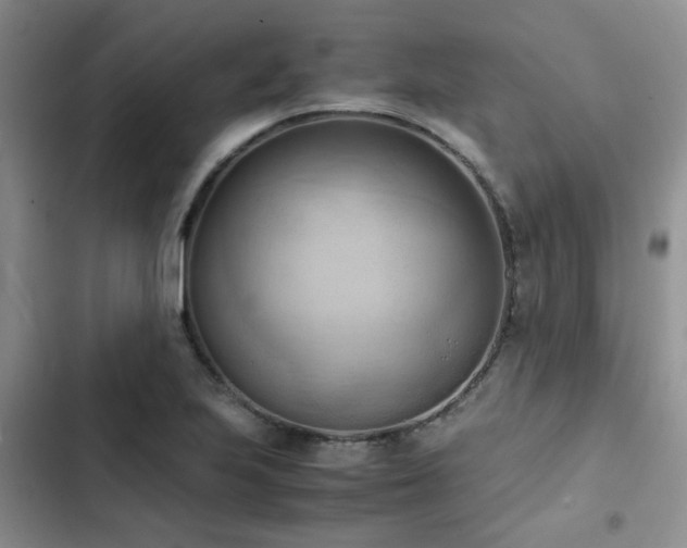 X0000102861223200808181433