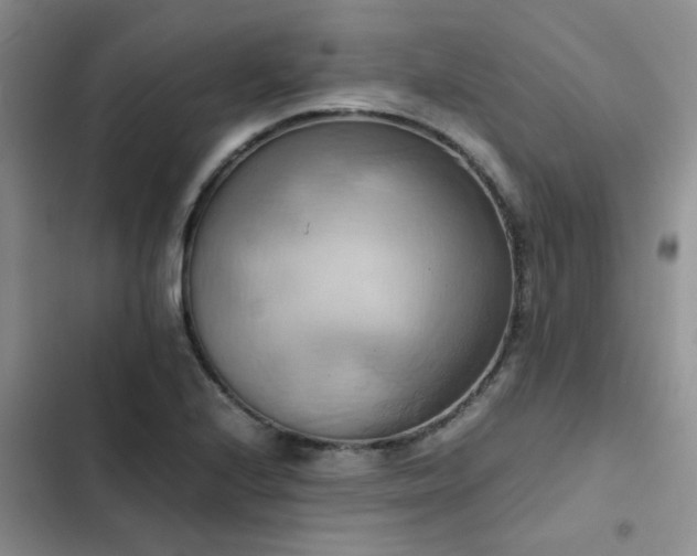 X0000102861224200808181433