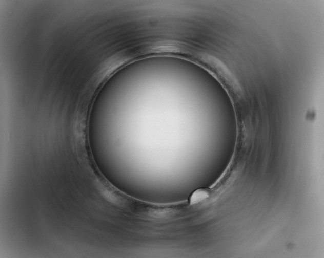 X0000102861225200808181433