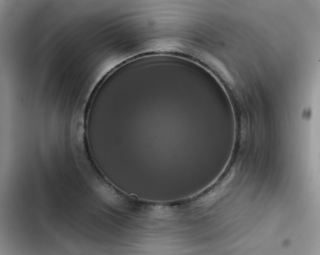 X0000102861226200808181433