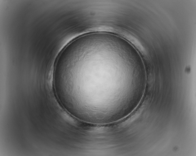 X0000102861228200808181433