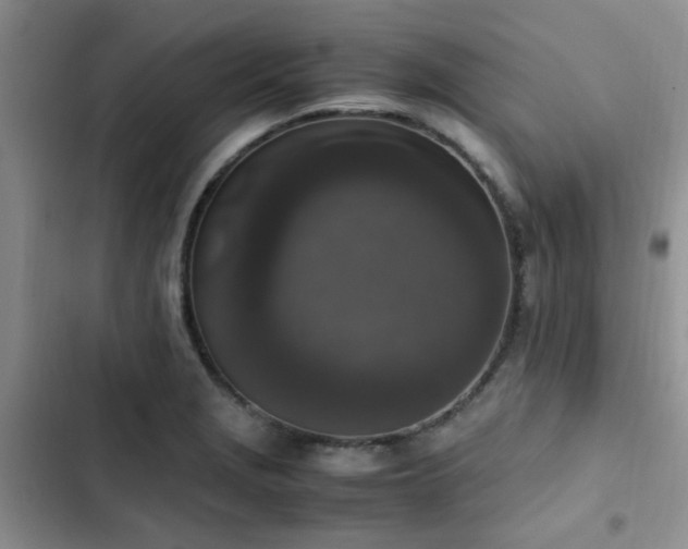 X0000102861229200808181433