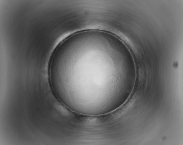 X0000102861230200808181433