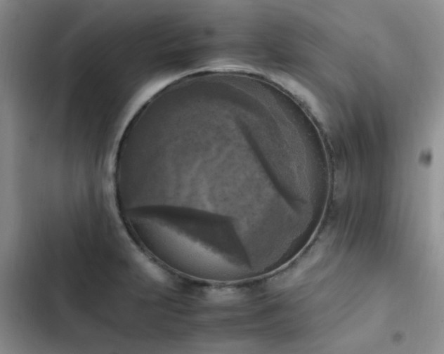 X0000102861231200808181433