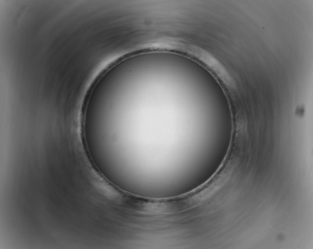 X0000102861232200808181433