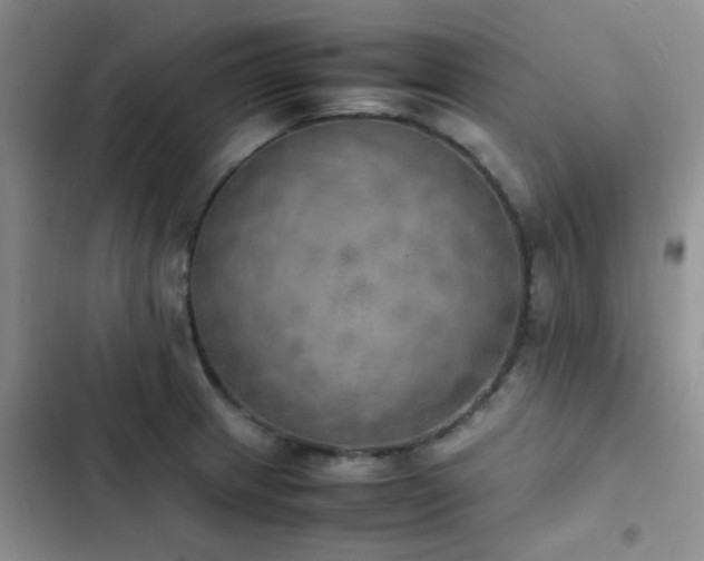 X0000102861233200808181433