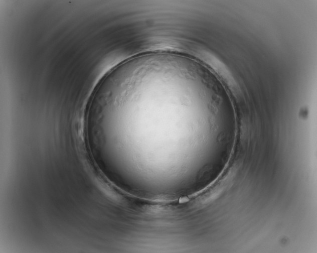 X0000102861234200808181433