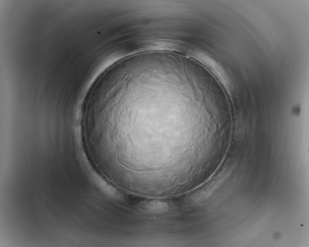 X0000102861235200808181433