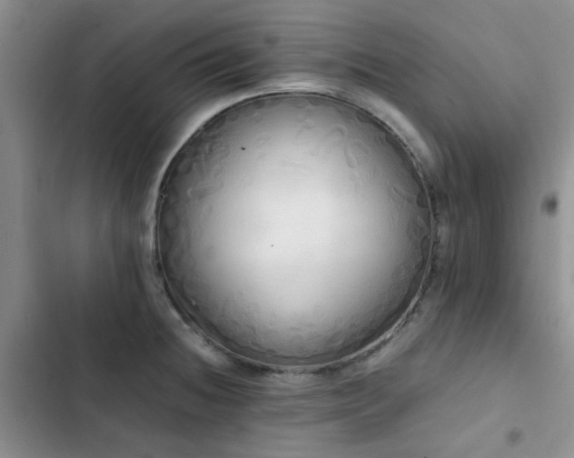 X0000102861236200808181433