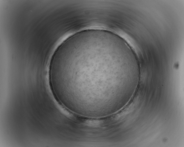 X0000102861237200808181433