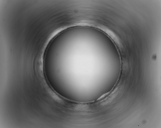 X0000102861238200808181434