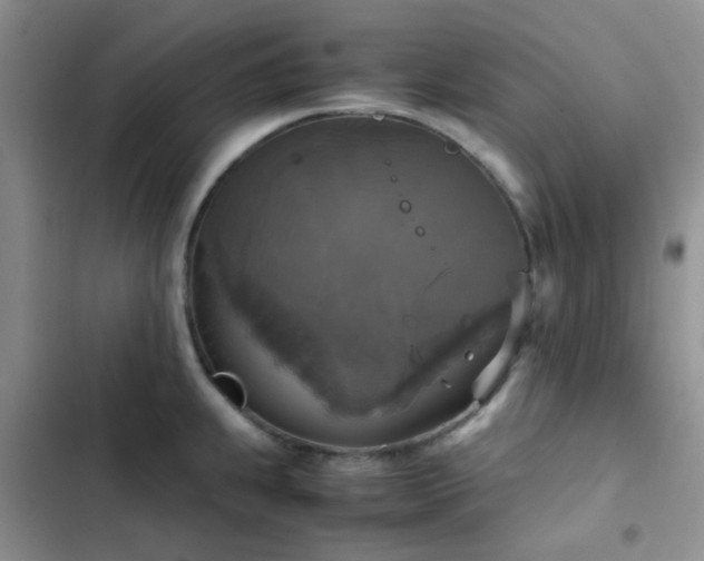 X0000102861239200808181434