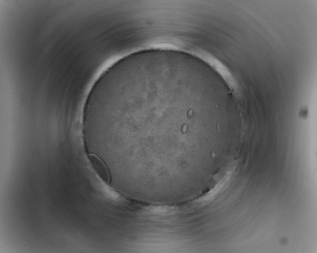 X0000102861240200808181434