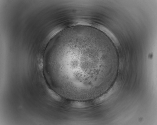 X0000102861241200808181434