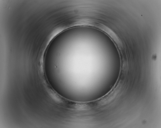 X0000102861242200808181434