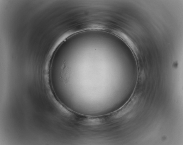 X0000102861243200808181434