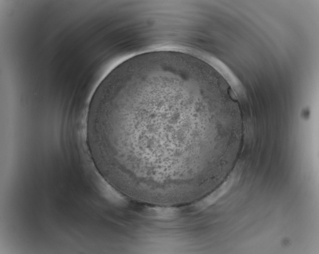 X0000102861244200808181434