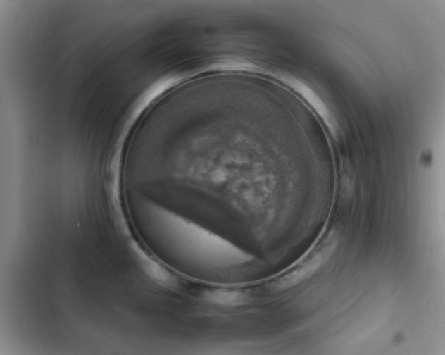 X0000102861245200808181434