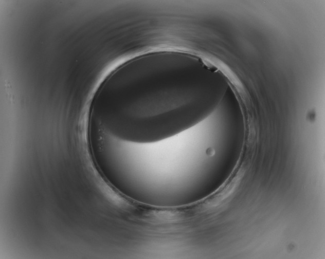 X0000102861246200808181434