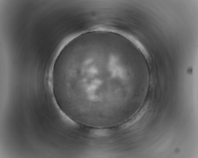 X0000102861247200808181434