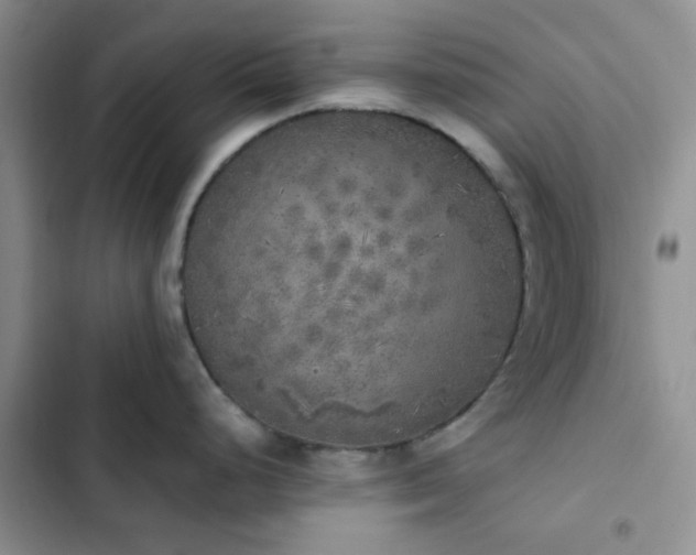 X0000102861248200808181434