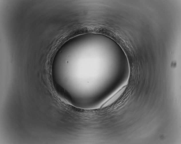 X0000102861249200808181433