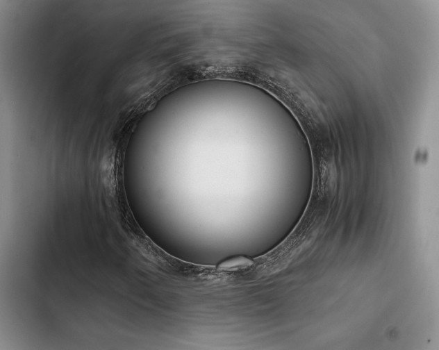 X0000102861250200808181433