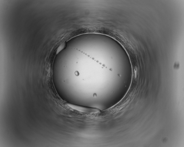 X0000102861251200808181433