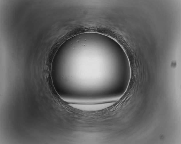 X0000102861253200808181433