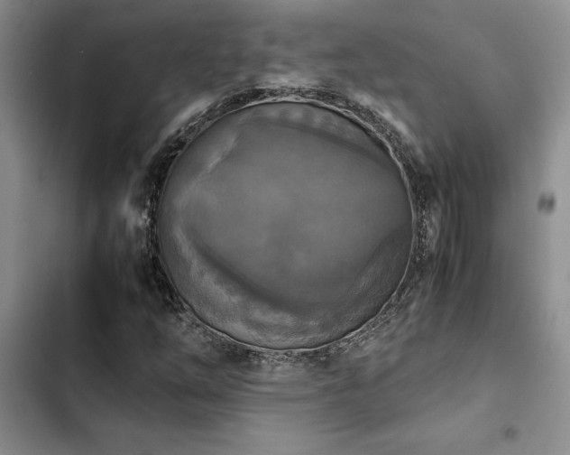 X0000102861254200808181433