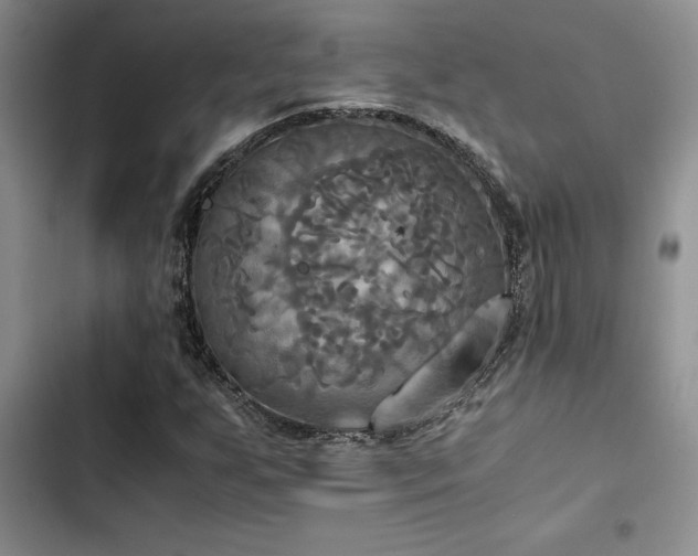 X0000102861255200808181433