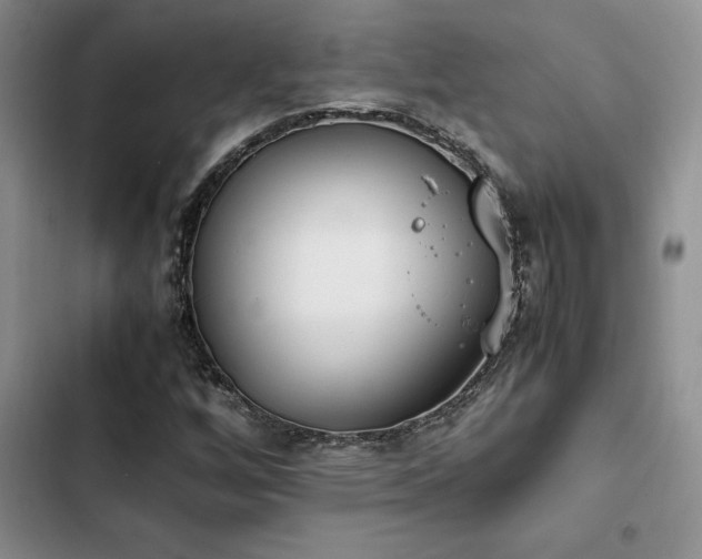 X0000102861256200808181433