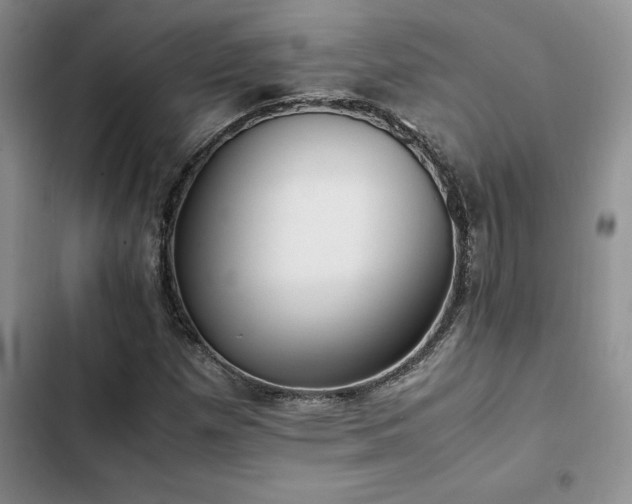 X0000102861257200808181433