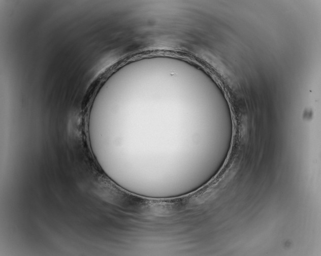 X0000102861258200808181433