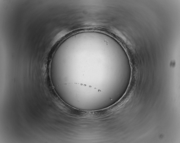 X0000102861259200808181433