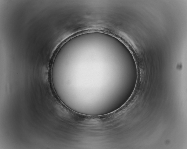 X0000102861260200808181433