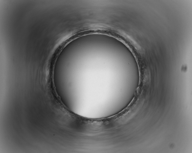 X0000102861261200808181433