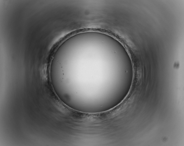 X0000102861262200808181433