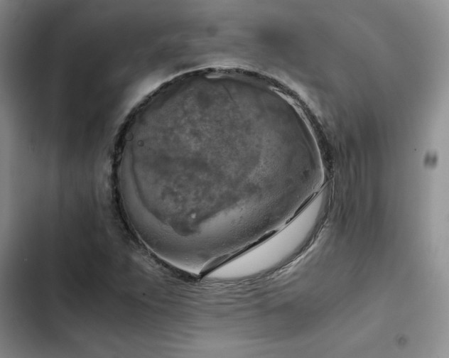 X0000102861263200808181433