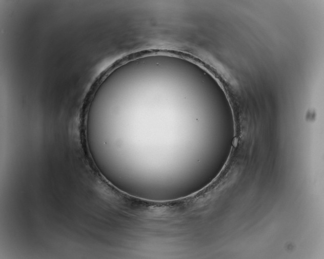 X0000102861264200808181433