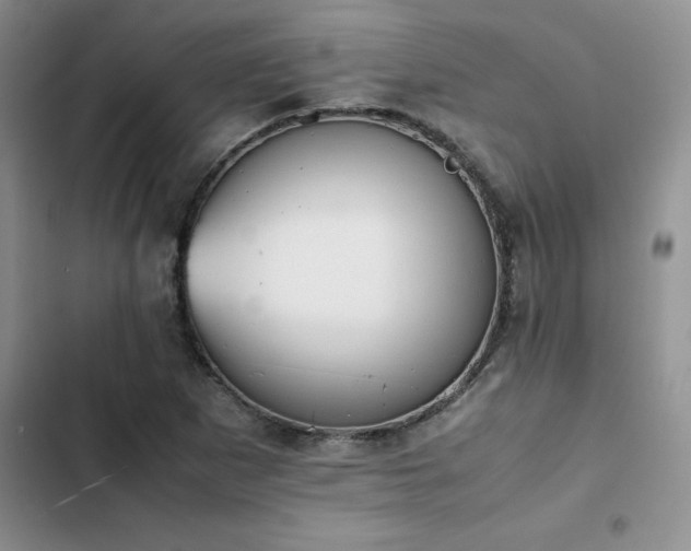 X0000102861265200808181433