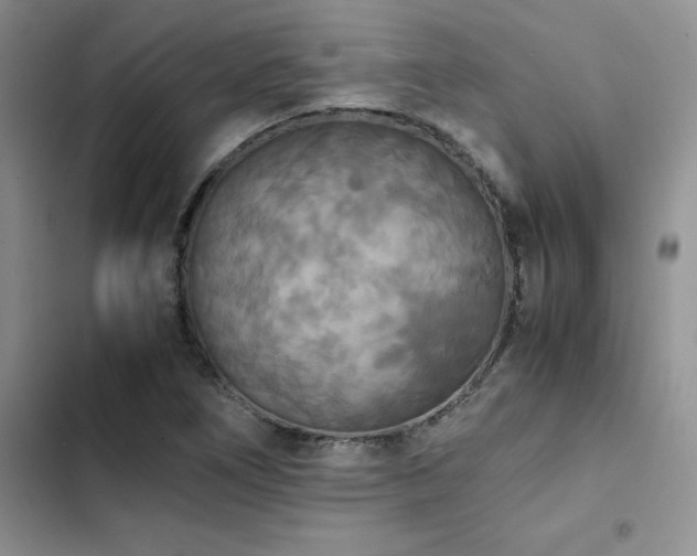 X0000102861266200808181433