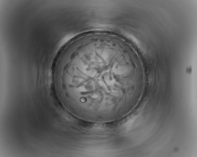 X0000102861267200808181433